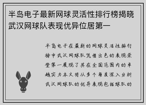 半岛电子最新网球灵活性排行榜揭晓武汉网球队表现优异位居第一