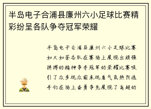 半岛电子合浦县廉州六小足球比赛精彩纷呈各队争夺冠军荣耀